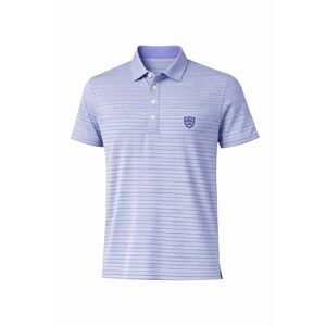 Donald Ross Men Polo Shirt LRG LAVENDER BLUE GRN STRIPE PERFORMANCE Fabric.